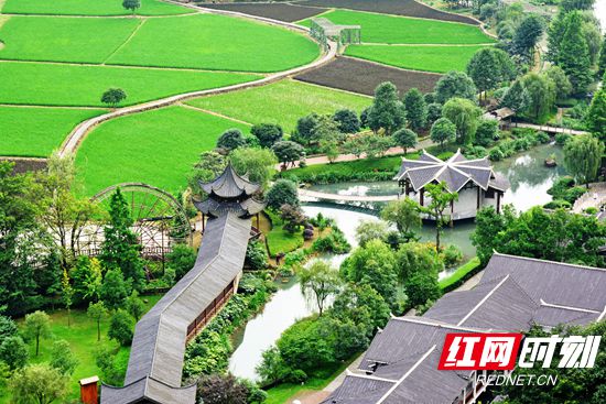 DSC_1579_副本.jpg DSC_1579_副本.jpg